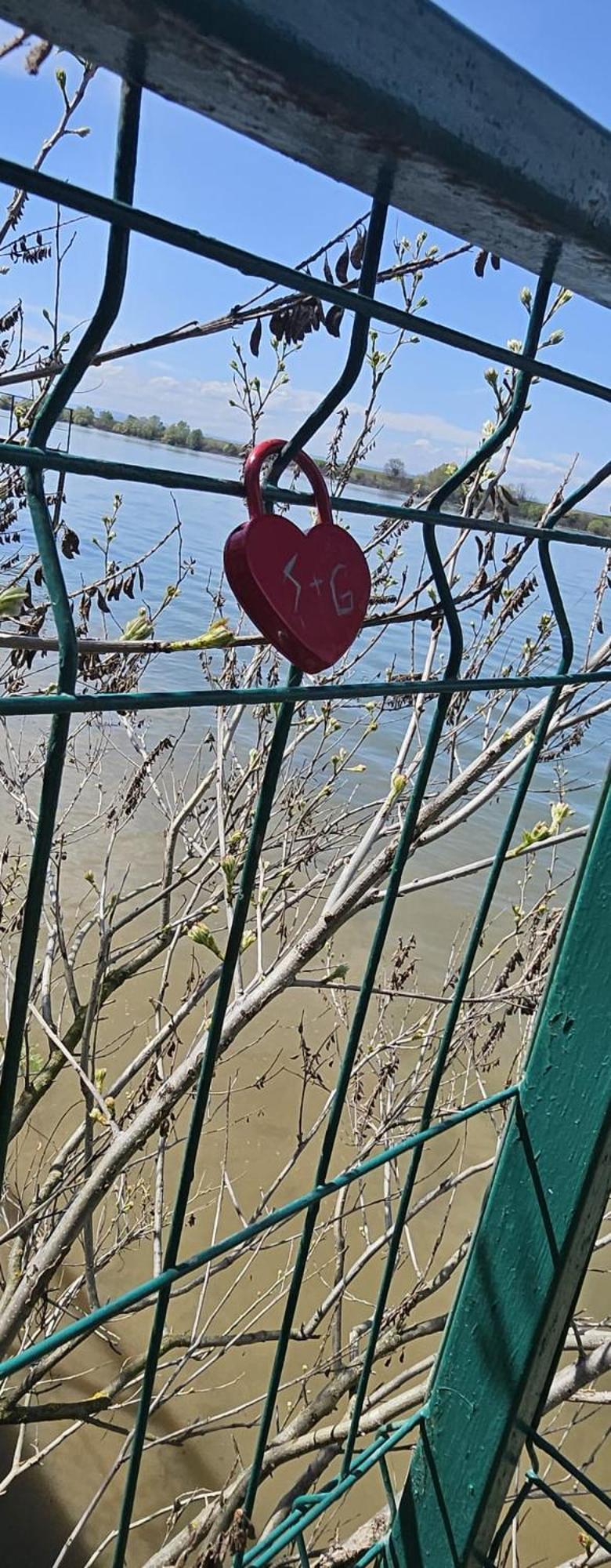 Danube Home Ostrovu Corbului Экстерьер фото